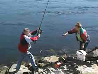 Bodo:  ノルウェー:  
 
 Fishing on the Saltstraumen